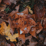 Mandarinquarz M