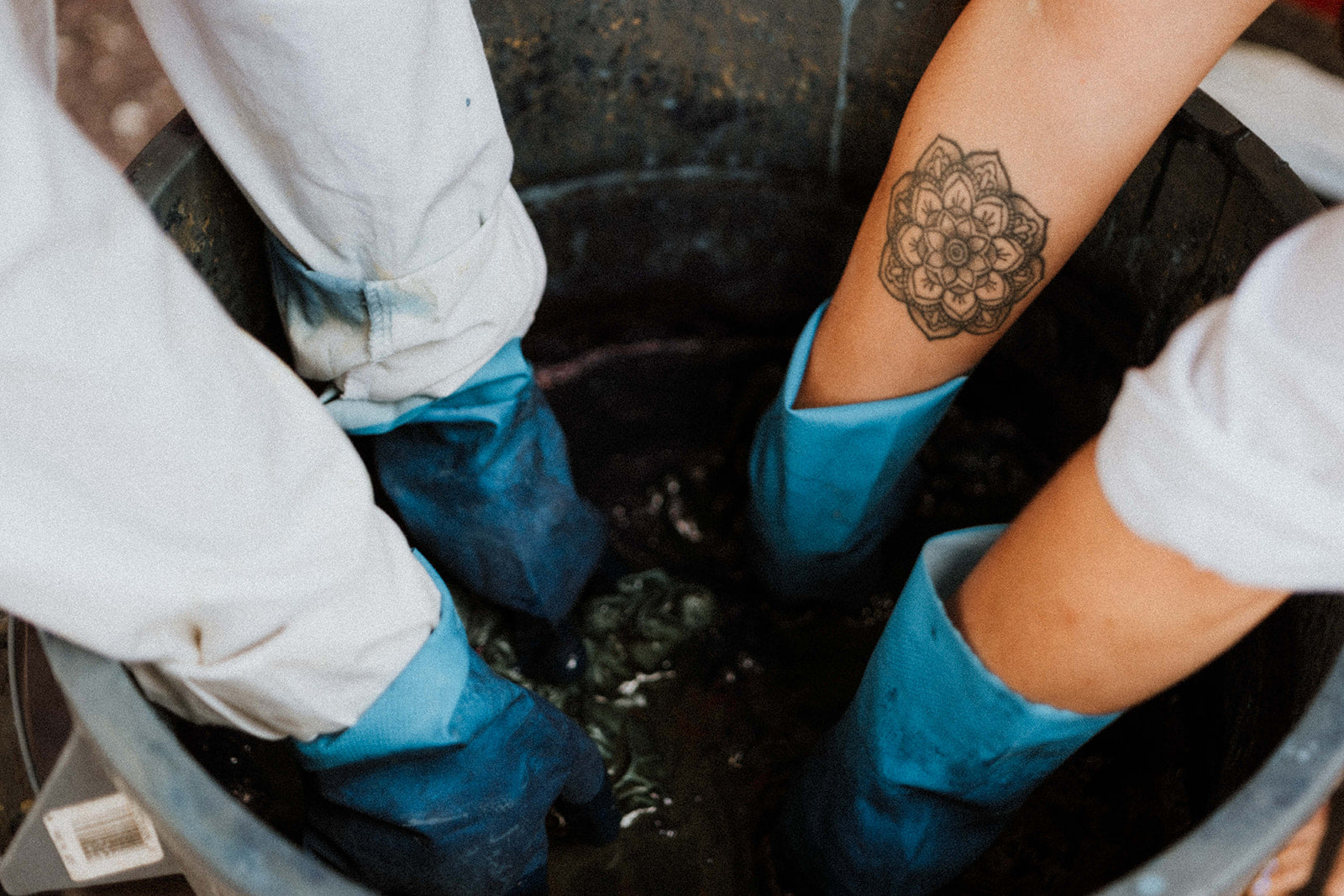 INDIGO COMMUNITY DAY